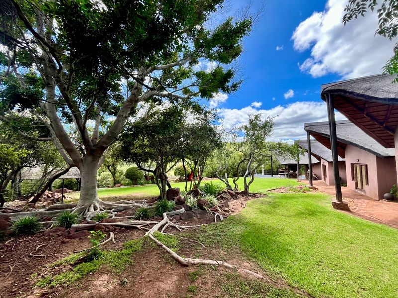 Nature Reserve for sale in the Waterberg mountains - Photo 5