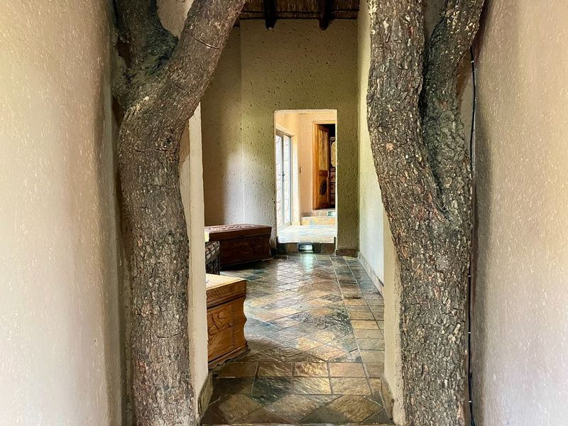 Nature Reserve for sale in the Waterberg mountains - Photo 10