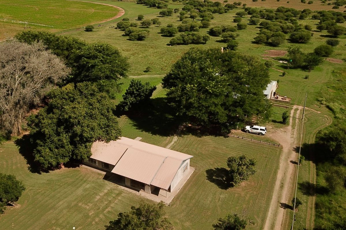 Farmland opportunity - Photo 3