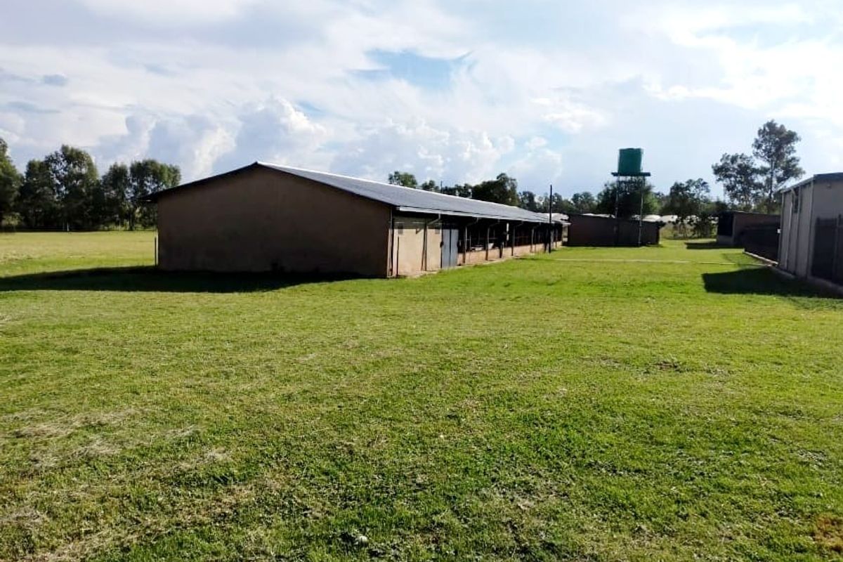 RENTAL INCOME- 6 Houses - 2 Chicken coops - 18 Storage units - Electric fence - Cattle kraal - Photo 5