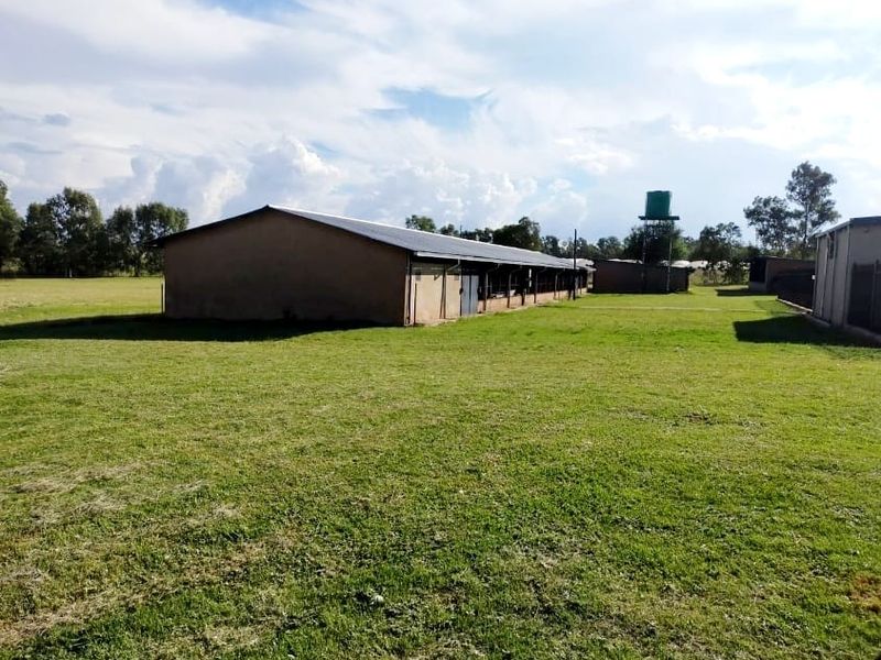 RENTAL INCOME- 6 Houses - 2 Chicken coops - 18 Storage units - Electric fence - Cattle kraal - Photo 5
