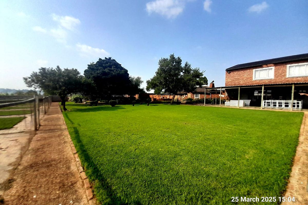 Two modern homes & income-generating farm shop - On tar road - NO Loadshedding - Photo 5