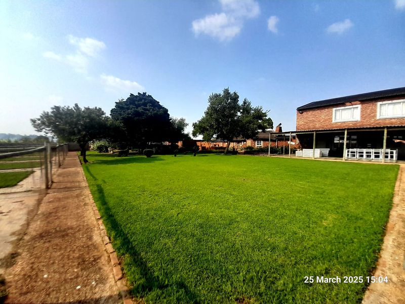 Two modern homes & income-generating farm shop - On tar road - NO Loadshedding - Photo 5