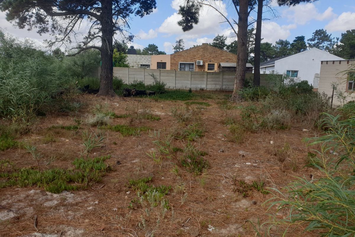 A vacant residential plot featuring mature trees and perimeter walling, offering a blank canvas for future development.