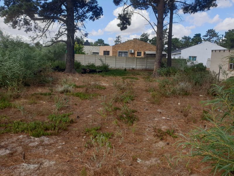 A vacant residential plot featuring mature trees and perimeter walling, offering a blank canvas for future development.