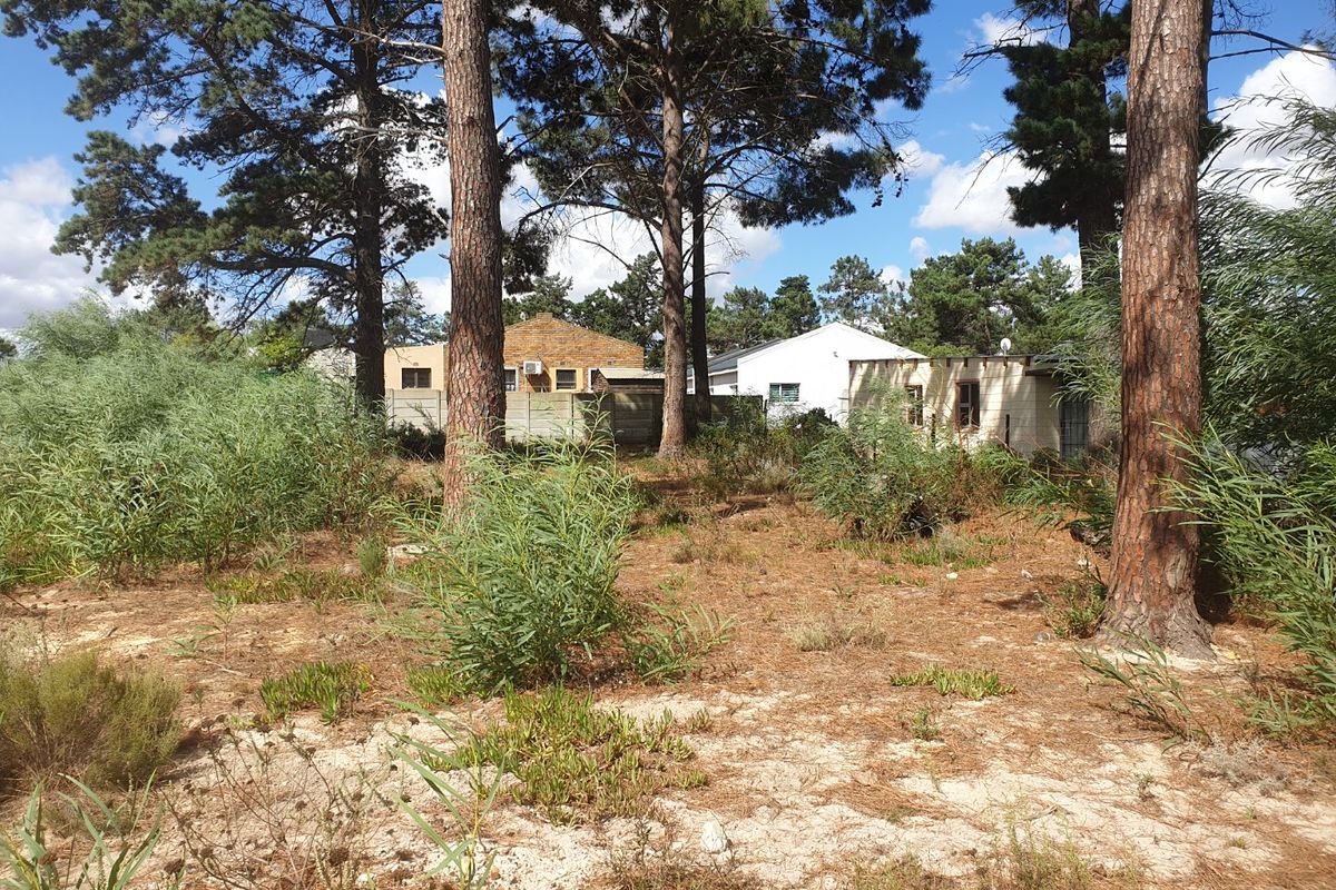 A view of a vacant residential plot featuring mature pine trees and natural ground cover, with neighboring properties visible in the background.