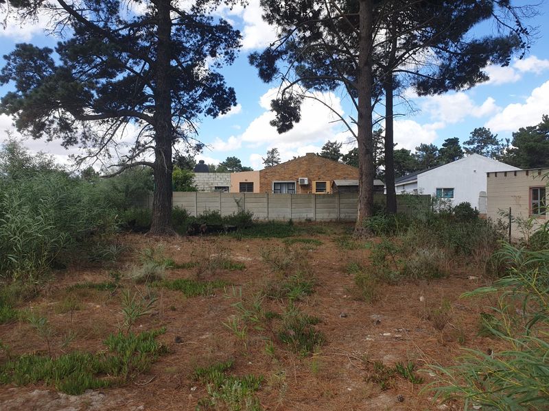 A view of a vacant residential plot featuring mature trees and a precast concrete boundary wall.