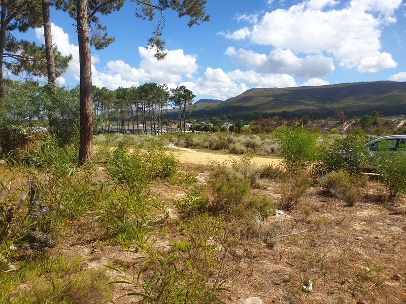 A view of a vacant residential plot featuring natural vegetation, mature trees, and scenic mountain views in the background.