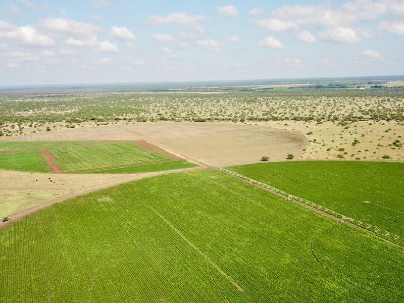 Farm For Sale In Bela Bela - Photo 10