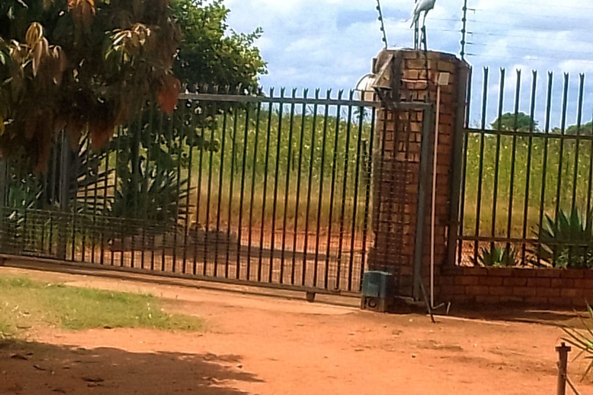 Neat and Well-Maintained Farm with more than 60 fruit trees - Main house and flat. - Photo 4