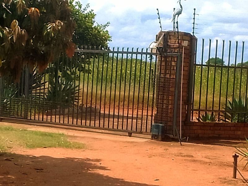 Neat and Well-Maintained Farm with more than 60 fruit trees - Main house and flat. - Photo 4