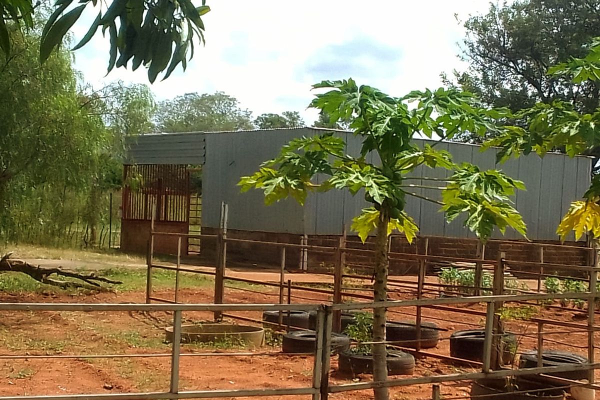 Neat and Well-Maintained Farm with more than 60 fruit trees - Main house and flat. - Photo 2