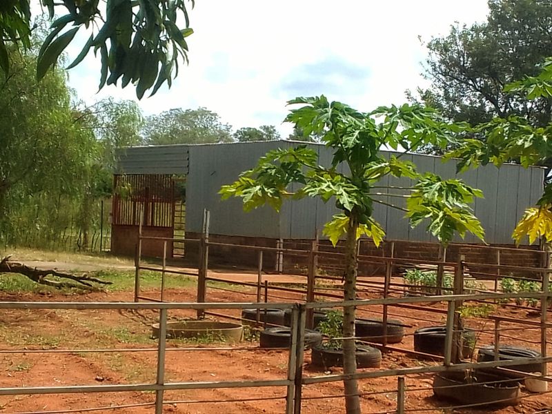 Neat and Well-Maintained Farm with more than 60 fruit trees - Main house and flat. - Photo 2