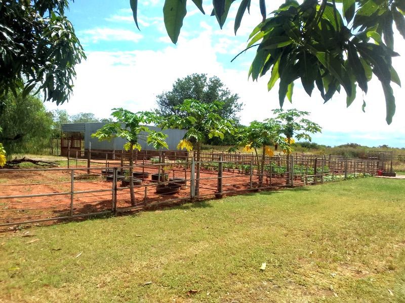 Neat and Well-Maintained Farm with more than 60 fruit trees - Main house and flat. - Photo 7