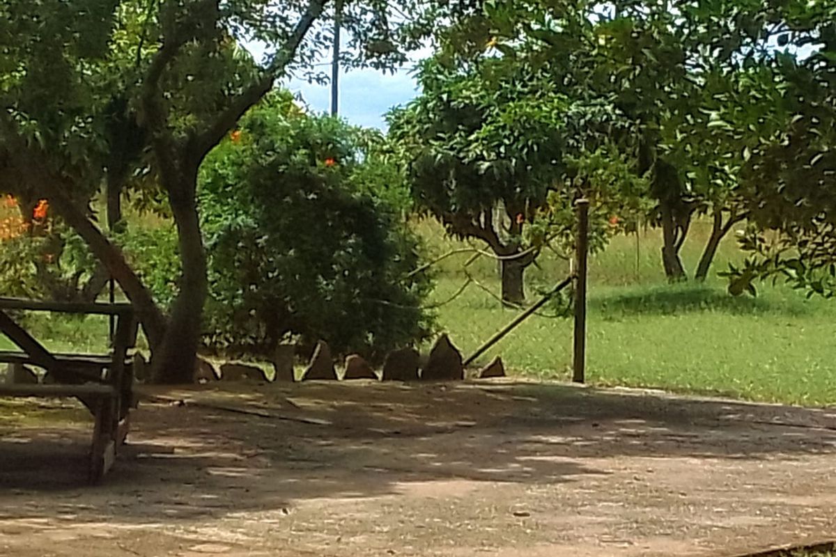 Neat and Well-Maintained Farm with more than 60 fruit trees - Main house and flat. - Photo 5
