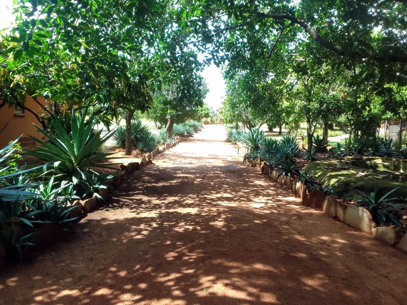 Suitable for Various farming options - Goats, sheep, Chicken, Cattle, horses, plant, etc - Photo 10
