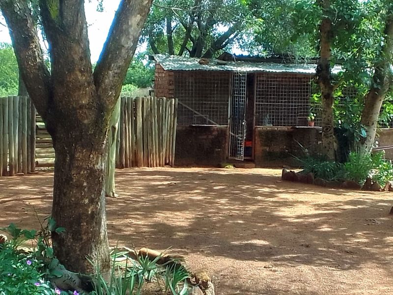 Neat and Well-Maintained Farm with more than 60 fruit trees - Main house and flat. - Photo 10