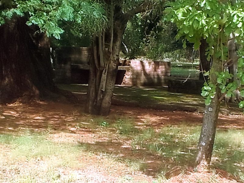 Neat and Well-Maintained Farm with more than 60 fruit trees - Main house and flat. - Photo 9