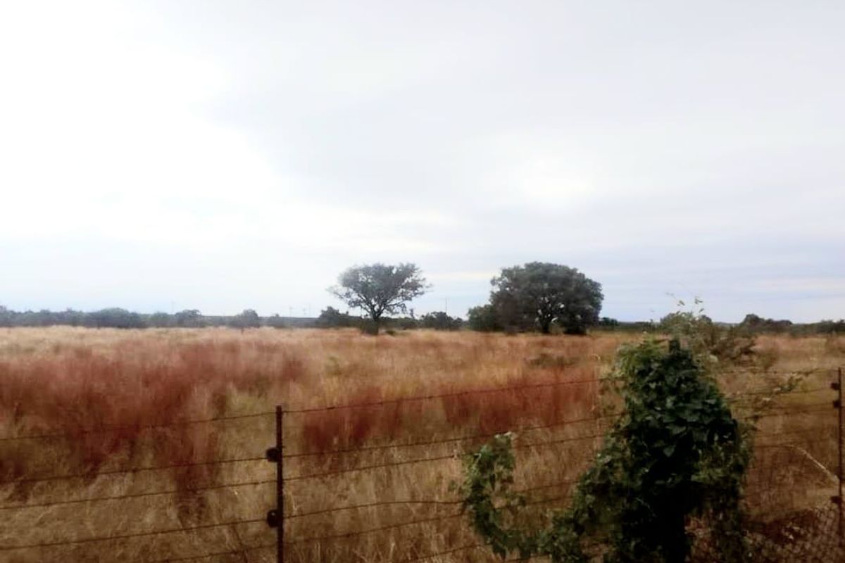 Suitable for Various farming options - Goats, sheep, Chicken, Cattle, horses, plant, etc - Photo 5