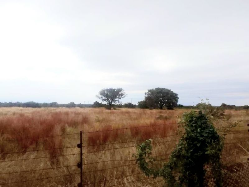 Suitable for Various farming options - Goats, sheep, Chicken, Cattle, horses, plant, etc - Photo 3