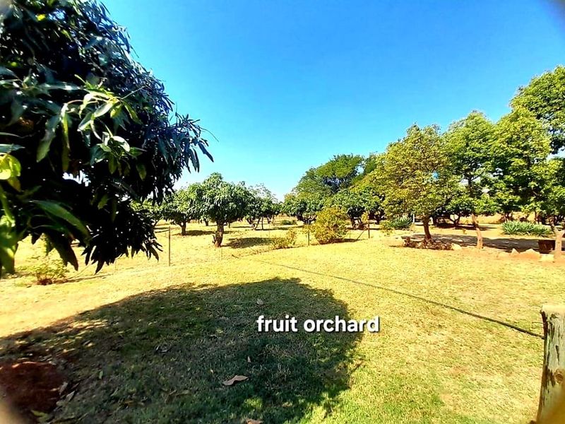 Suitable for Various farming options - Goats, sheep, Chicken, Cattle, horses, plant, etc - Photo 4