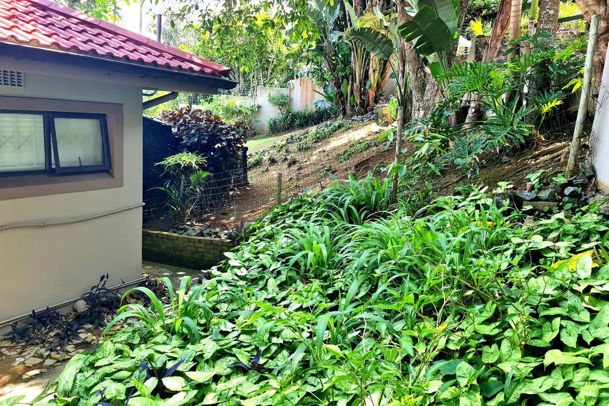 A view of the property's exterior rear, featuring a tiled roof structure adjacent to a sloped, landscaped garden area with mature trees and ground cover.