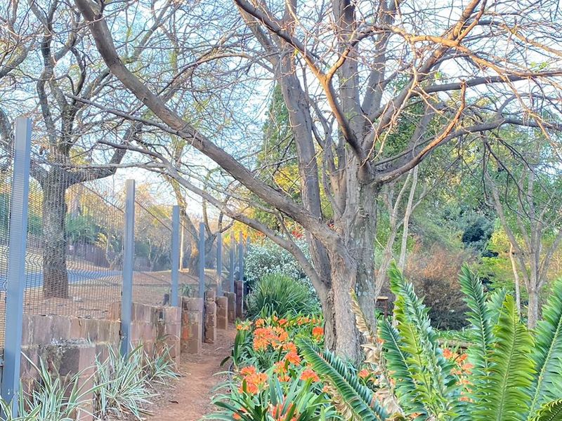A well-maintained garden path featuring mature trees, established shrubbery, and secure wire mesh perimeter fencing with retaining wall blocks.