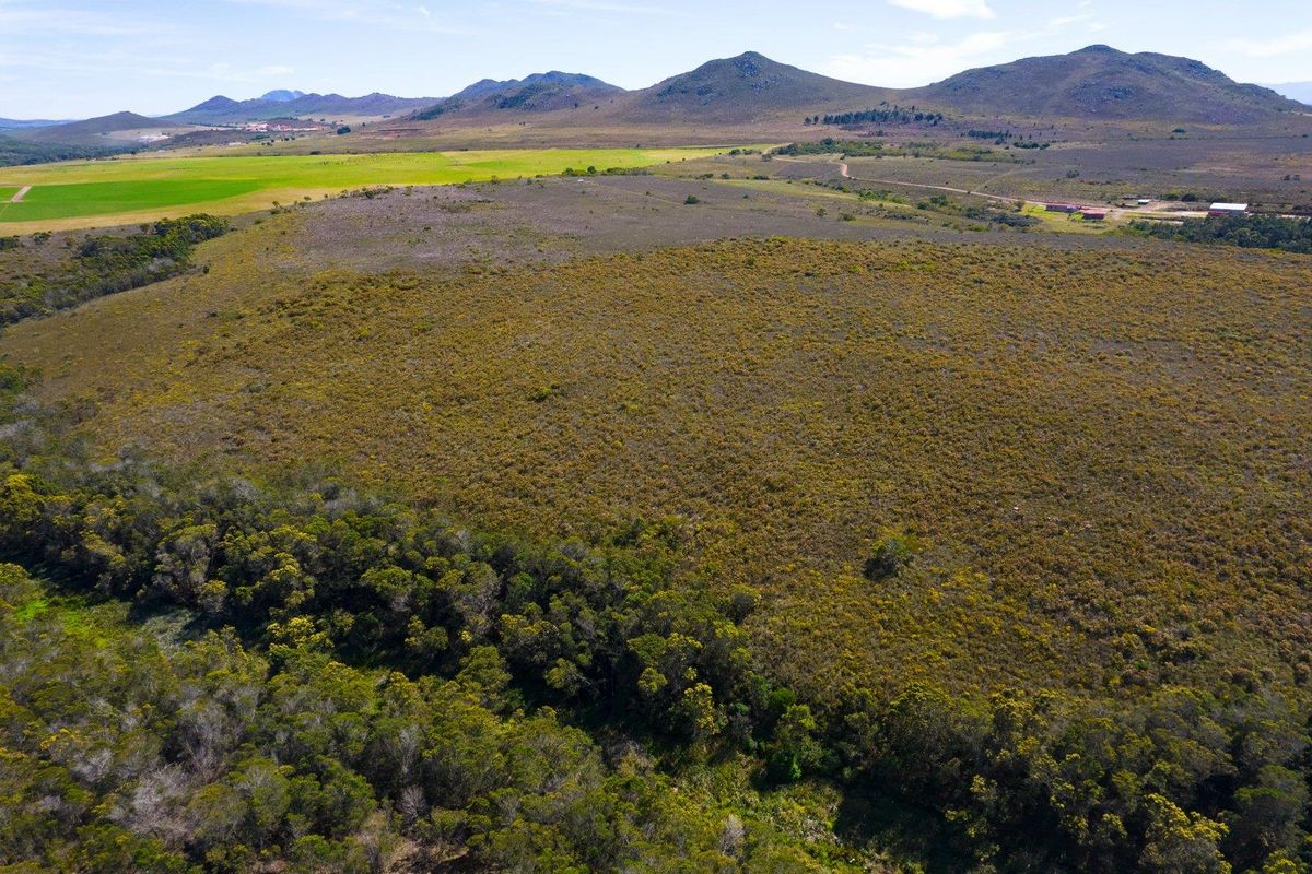 An aerial view of a large, undeveloped residential land parcel featuring natural vegetation and scenic mountain views.