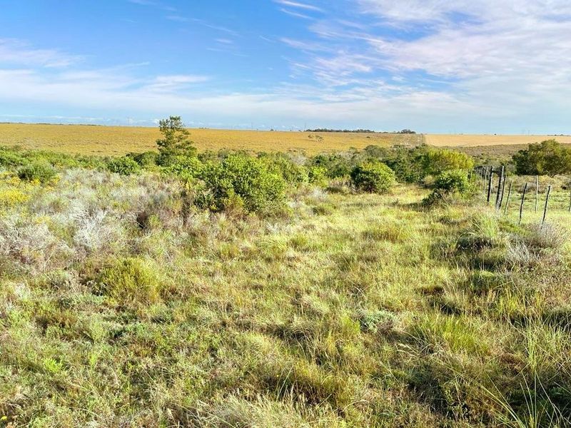 A view of a vacant residential plot featuring natural vegetation and perimeter wire fencing under a clear blue sky.