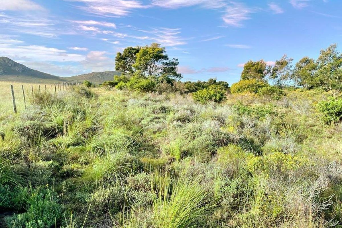 A view of a vacant residential plot featuring natural vegetation and perimeter wire fencing against a scenic mountain backdrop.
