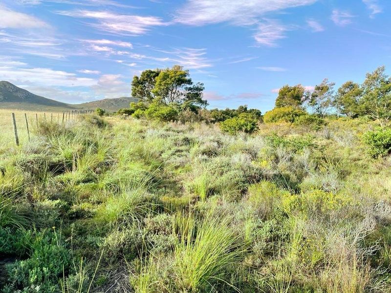 A view of a vacant residential plot featuring natural vegetation and perimeter wire fencing against a scenic mountain backdrop.
