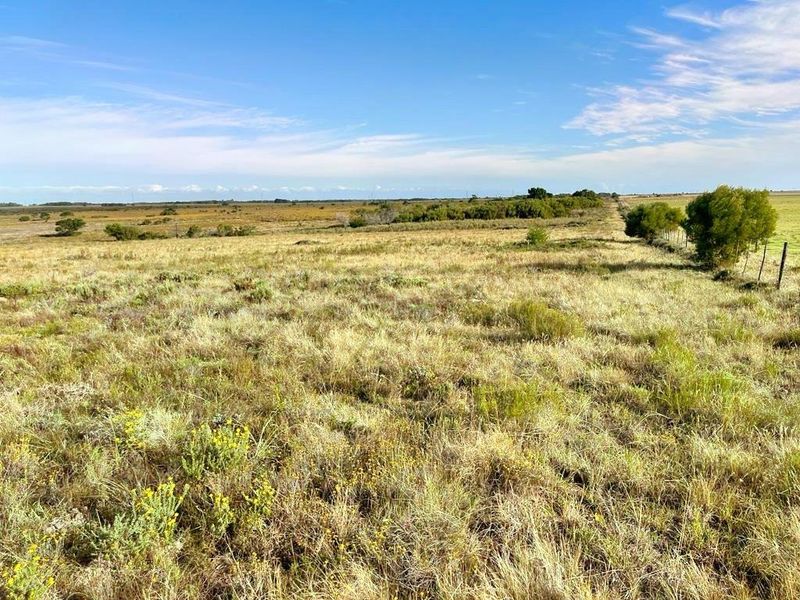 A wide-angle view of the expansive, undeveloped residential land featuring natural grasses and a perimeter wire fence.