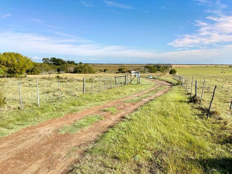 A view of a vacant residential land plot featuring a dirt driveway, wire fencing, and a metal entrance gate.