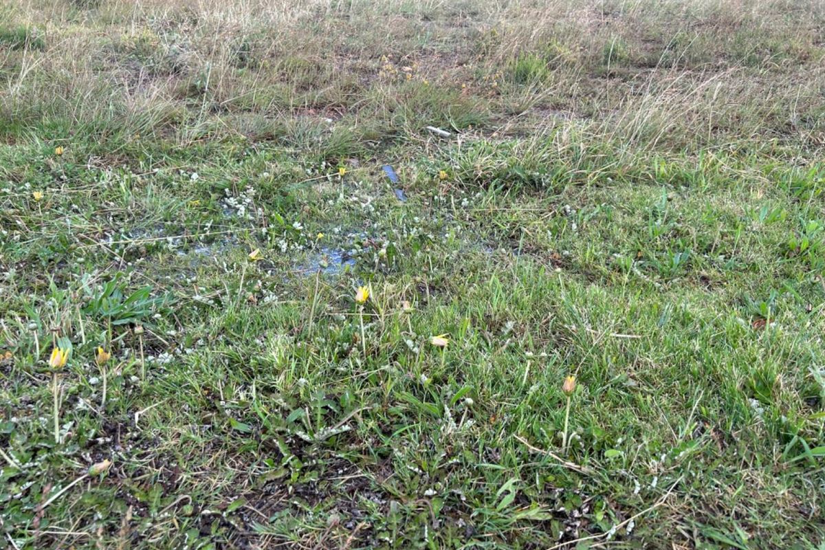 Vacant land in Fountains Estate - Photo 3