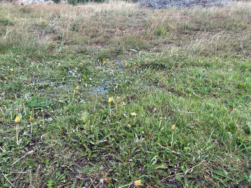 Vacant land in Fountains Estate - Photo 3