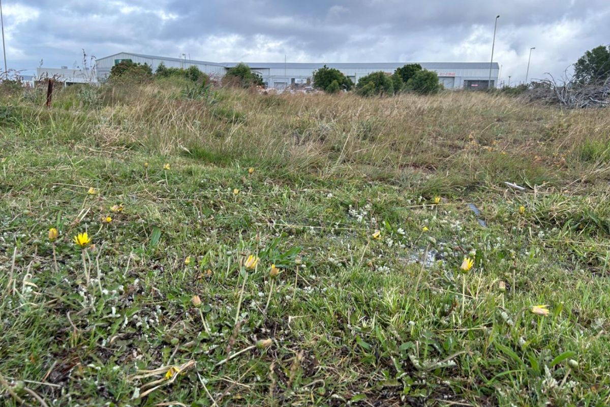 Vacant land in Fountains Estate - Photo 2