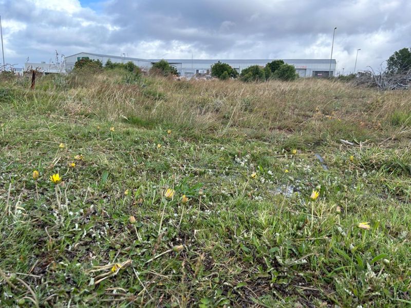 Vacant land in Fountains Estate - Photo 2