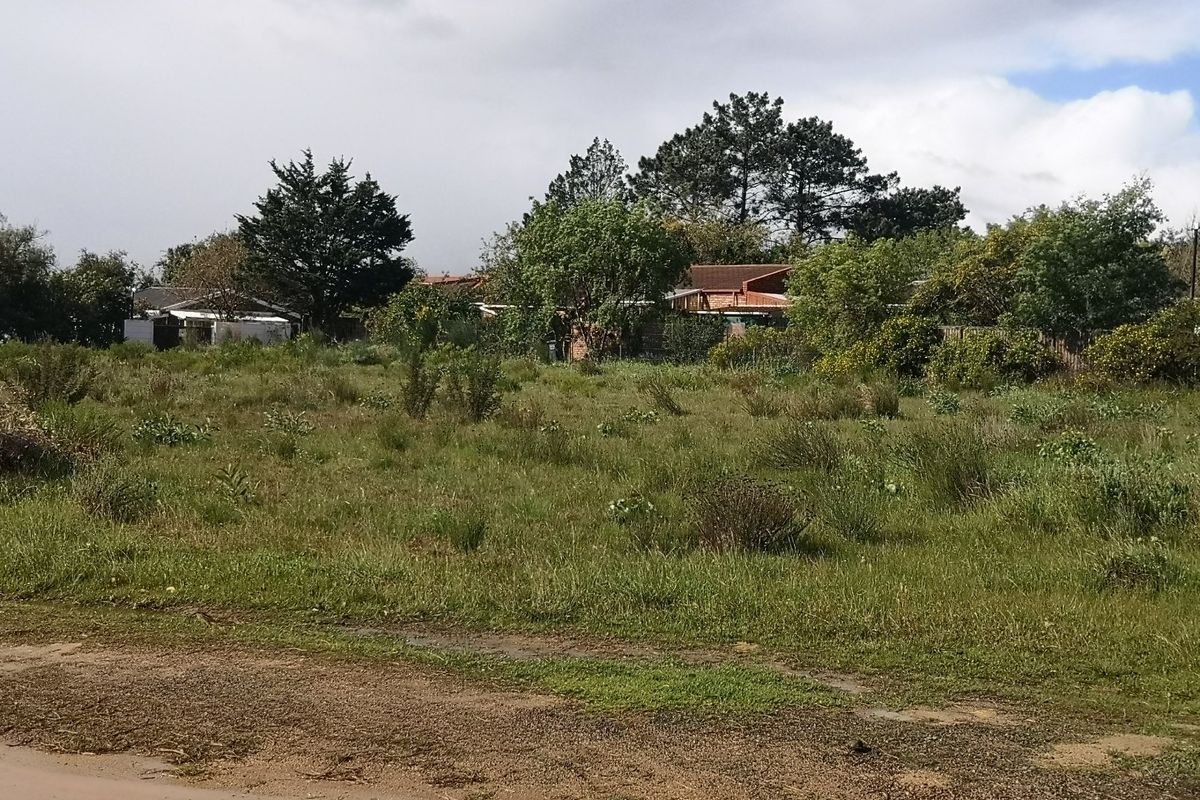 A view of a vacant residential plot featuring natural grassland and mature trees, offering a blank canvas for future development.