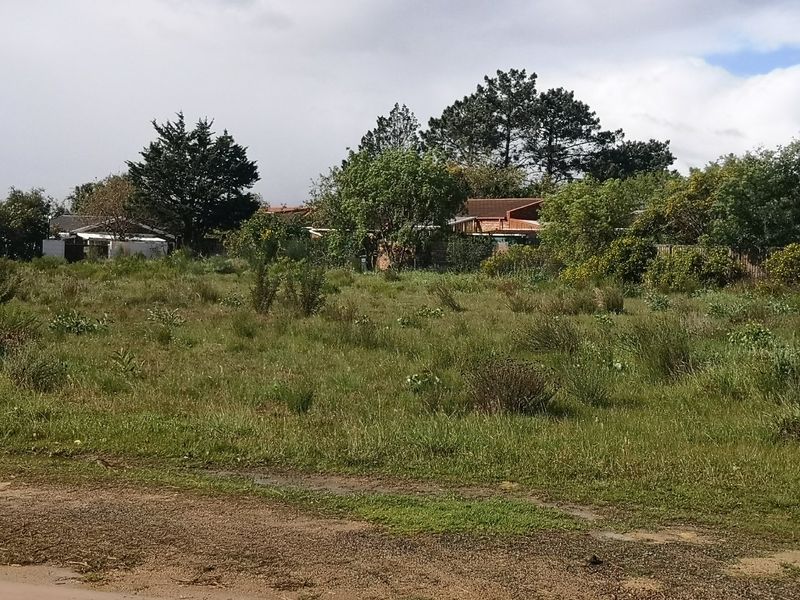 A view of a vacant residential plot featuring natural grassland and mature trees, offering a blank canvas for future development.