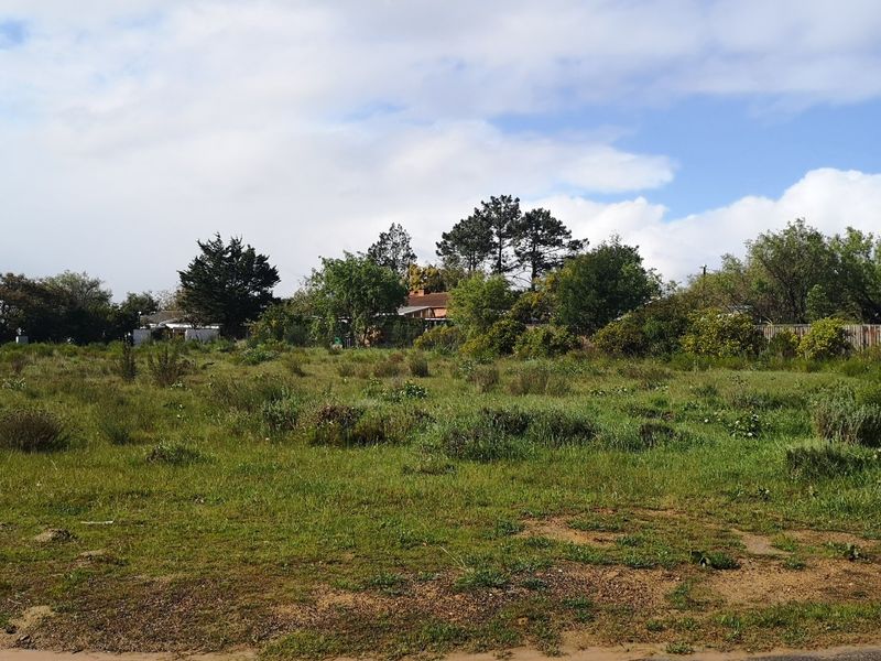 A vacant residential plot featuring natural vegetation, mature trees, and perimeter fencing, offering a clear space for potential development.