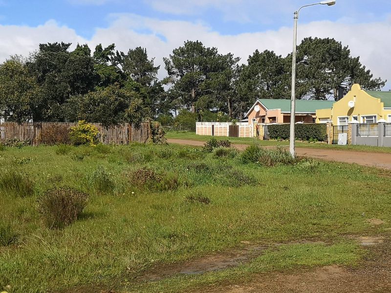 A vacant residential plot of land featuring natural grass cover, bordered by a wooden fence and adjacent to a paved street with lighting.