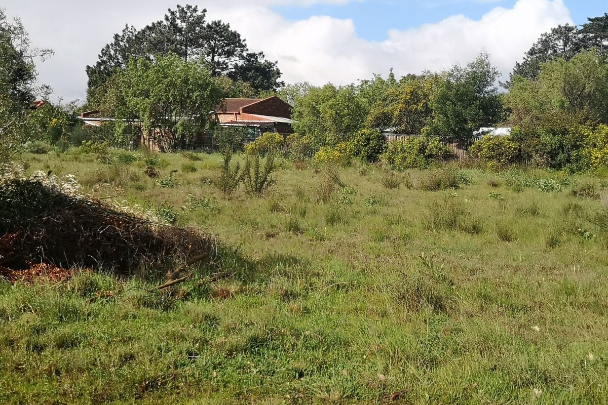 A view of a vacant residential plot featuring established trees, natural grassland, and perimeter vegetation.
