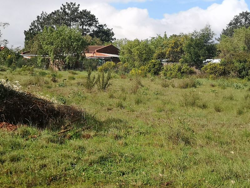 A view of a vacant residential plot featuring established trees, natural grassland, and perimeter vegetation.