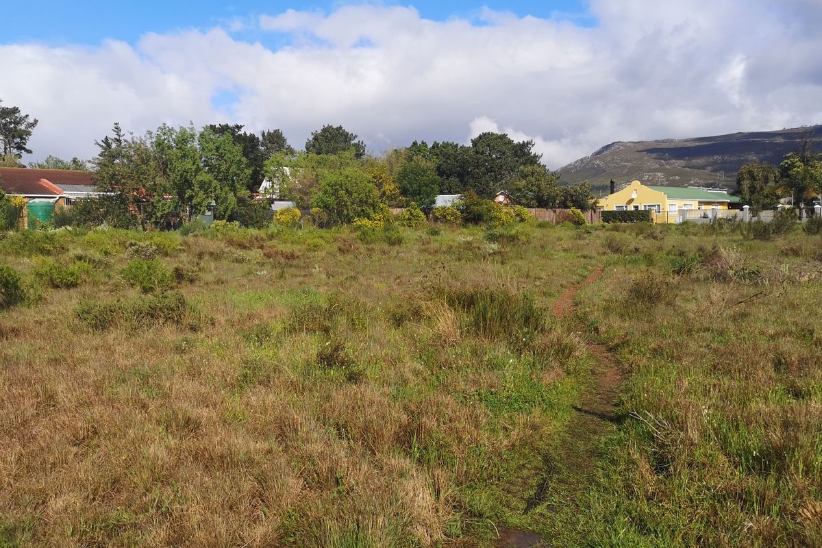 A vacant residential plot featuring natural vegetation, offering a blank canvas for development in a established neighborhood setting.