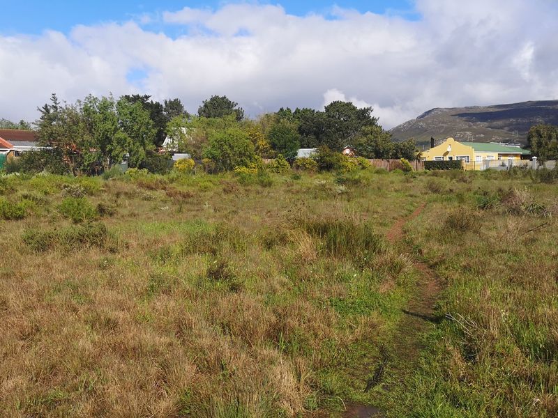 A vacant residential plot featuring natural vegetation, offering a blank canvas for development in a established neighborhood setting.