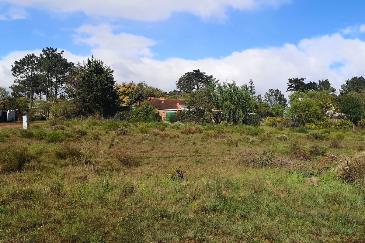 A view of a vacant residential plot featuring natural vegetation and surrounding mature trees, offering a blank canvas for future development.