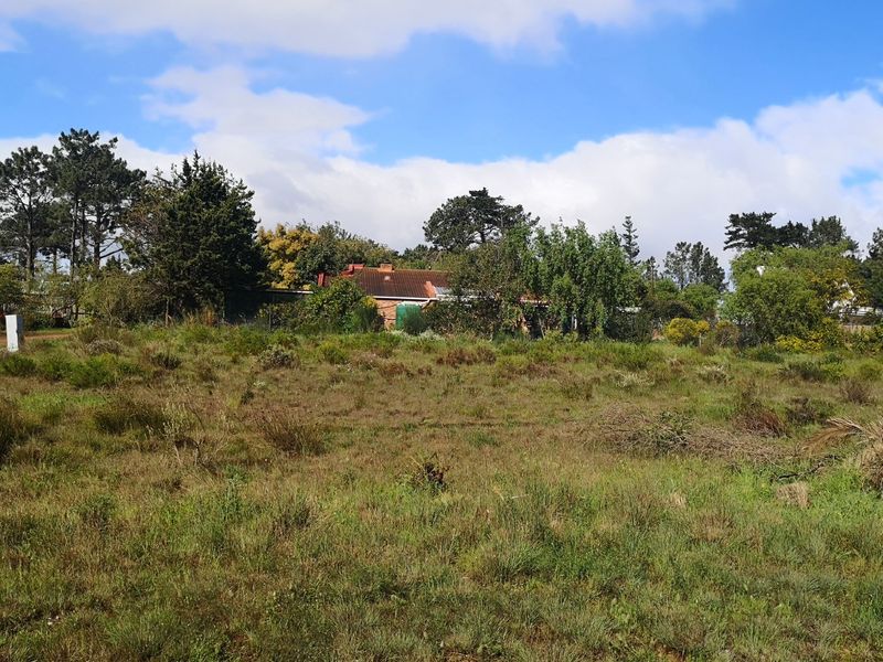 A view of a vacant residential plot featuring natural vegetation and surrounding mature trees, offering a blank canvas for future development.