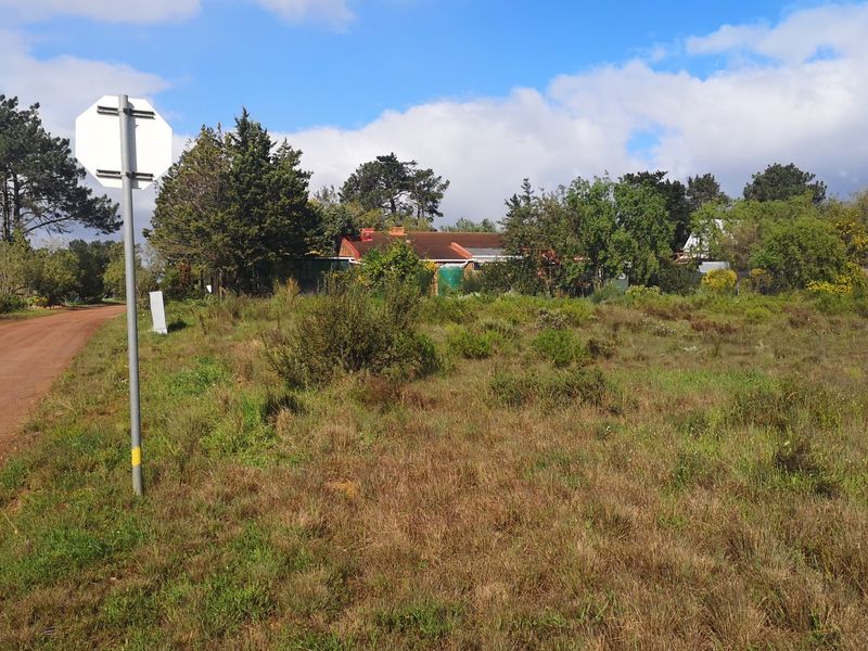 A view of the vacant residential land plot featuring natural vegetation, adjacent to a dirt road with surrounding trees and nearby residential structures.