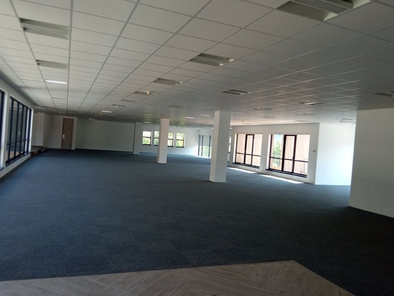 A spacious, open-plan office area featuring a suspended ceiling, recessed lighting, and carpeted flooring, offering a bright and versatile workspace.