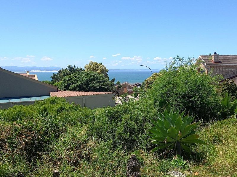 A scenic view overlooking the surrounding residential neighbourhood with a distant ocean horizon and natural coastal vegetation.